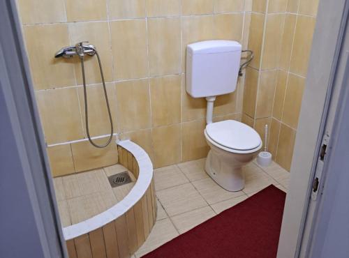 a bathroom with a toilet and a shower at Rooms Đenadija in Hrvatska Kostajnica