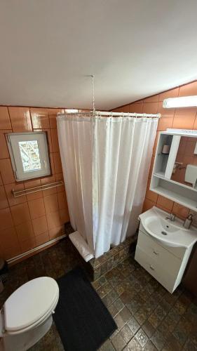 a bathroom with a toilet and a sink at Casa Melania in Eşelniţa