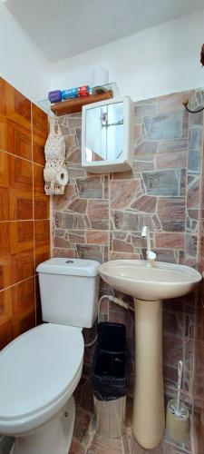 a bathroom with a toilet and a sink at Contos de Alice Quartos in Tiradentes