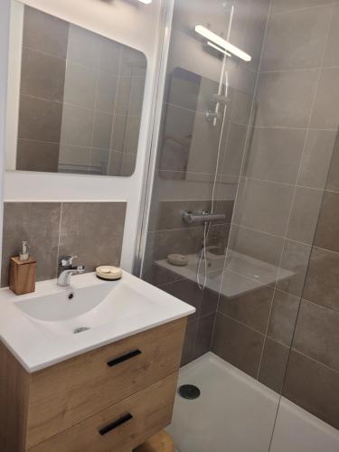 a bathroom with a sink and a shower at Le cocon de Suze in Suze-la-Rousse