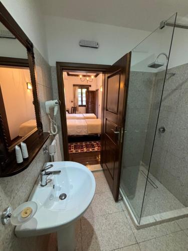 a bathroom with a sink and a shower and a sink at Boutique Hotel Vila Aleksander in Berat