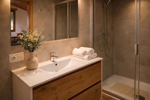 a bathroom with a sink and a shower at RINCON DE MUTILOA Balcón del Aitzgorri HabTuristica in Mutiloa