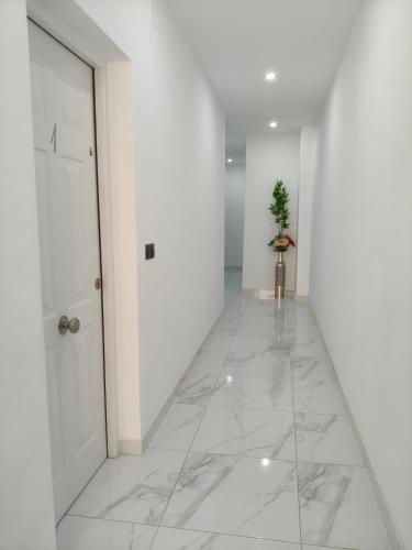 a hallway with white walls and a white door and a plant at Apartamentos Dali 1 in Guadix