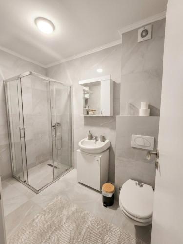 a bathroom with a shower and a toilet and a sink at Sara Luxe Family in Konjic