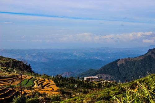 a view of a valley from a mountain at Hill Safari - Tea Estate Villa in Ohiya