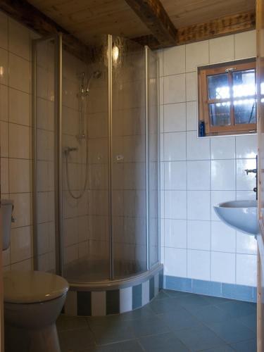 a bathroom with a shower and a toilet and a sink at Riggeralm in Rangersdorf