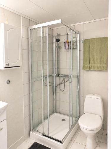 a shower stall in a bathroom with a toilet at Barfot Apartment - Bergen City center in Bergen