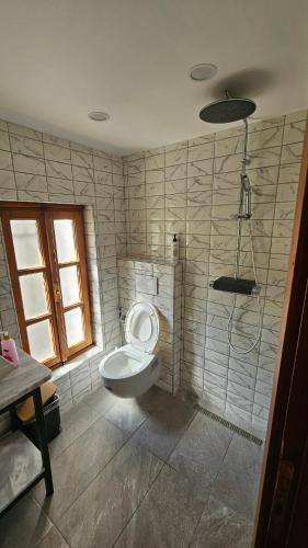 a bathroom with a toilet and a shower at Anderr stone Boutique in Gjirokastër