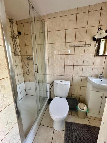 a bathroom with a toilet and a shower and a sink at Dom pod Platanami in Bondyrz