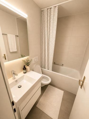Bern Garden Residence 152m Luxury Apartment