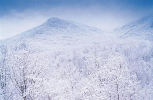 Club Wyndham Great Smokies Lodge photo 74