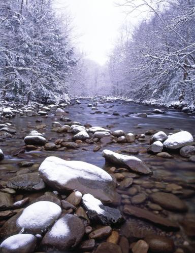 Club Wyndham Great Smokies Lodge photo 72