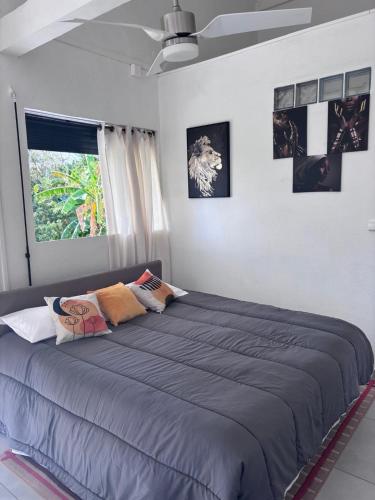 a large bed in a bedroom with pictures on the wall at Eco-Nature Studio in Petit-Canal