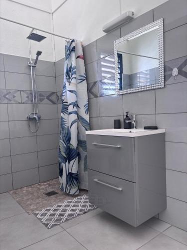 a bathroom with a sink and a shower with a mirror at Eco-Nature Studio in Petit-Canal