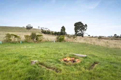 a fire in the middle of a field at Tiny Regen Farm Stay by Tiny Away in Lawrence