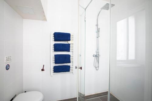 Grand Studio in the heart of St Germain