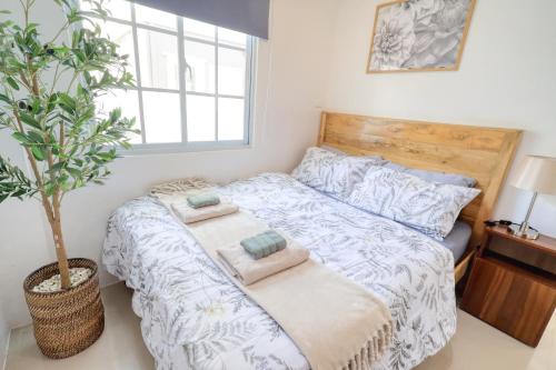 a bedroom with a bed and a potted plant at 3BR Guesthouse near Panglao - Pool Access - Bohol Tours - Fast WiFi in Dauis