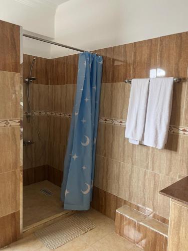 a shower with a blue shower curtain in a bathroom at Ali Baba Hotel in Luxor