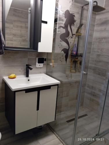 a bathroom with a sink and a shower at WallerKarpfenBosnien in Šiljkovača