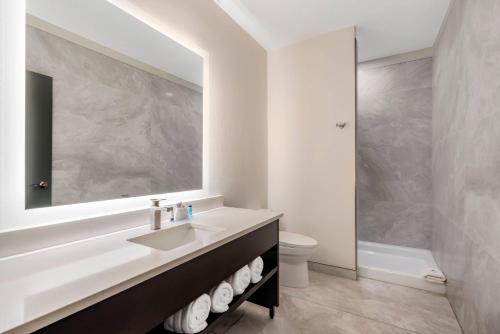 a bathroom with a sink and a toilet and a mirror at Grant Street Inn, an Ascend Collection Hotel in Dunedin