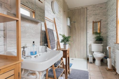 a bathroom with a sink and a toilet at BARHOLM CROFT Holiday Cottage in Creetown