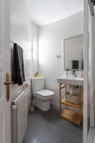 a white bathroom with a toilet and a sink at Apartamento luminoso y espacioso en Urdaibai in Elanchove