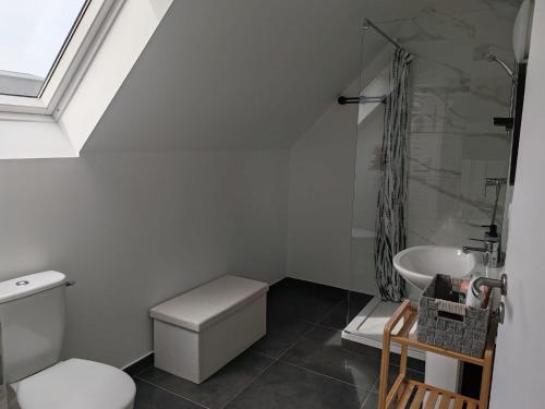 a bathroom with a toilet and a sink at YDIWEN Maison Tregunc in Trégunc