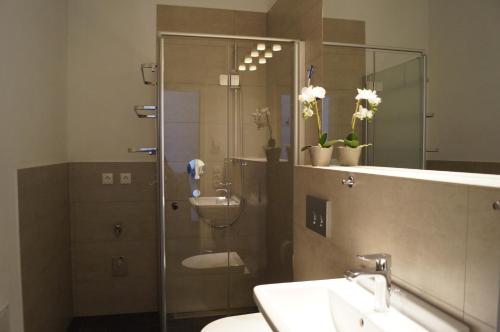 une salle de bains avec douche, toilettes et lavabo dans l'établissement Loft Style Studio - historic old town, à Villingen-Schwenningen