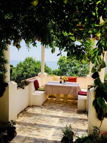 Large garden apartment 10min walk to Old Town