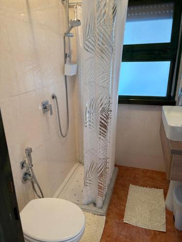 a bathroom with a shower with a toilet and a sink at Chira House in Santa Marinella