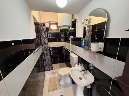 a bathroom with a toilet and a sink at Apartments Avram in Vršac