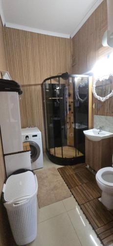 a bathroom with a shower and a toilet and a sink at Residence APOLLO MJ z dwoma pokojami in Ząbkowice Śląskie