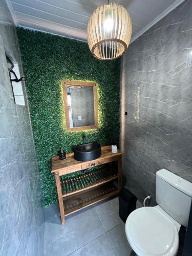 a bathroom with a green wall with a sink and a toilet at Studio c AC, Piscina e Café Novo Hamburgo in Novo Hamburgo