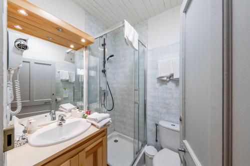 a bathroom with a shower and a sink and a toilet at Hôtel Engilberge in Ailefroide