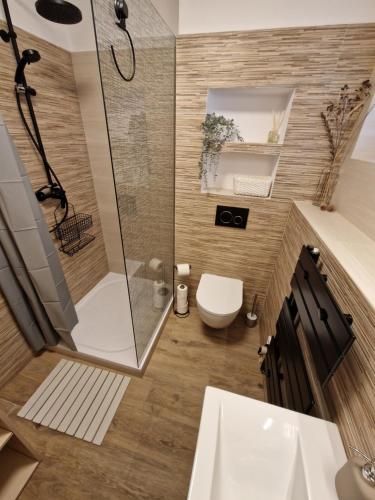 a bathroom with a shower and a toilet at Apartmán Sophia 6 in Velké Losiny
