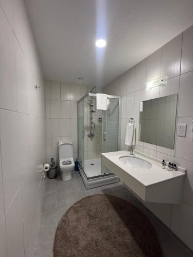 a bathroom with a sink and a shower and a toilet at Dorana Hotel Lefkoşa in Lefkosa Turk
