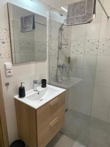 a bathroom with a sink and a shower at Barvicka in Třemošná