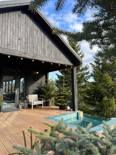a house with a swimming pool on a wooden deck at Noma Cabin in Măguri