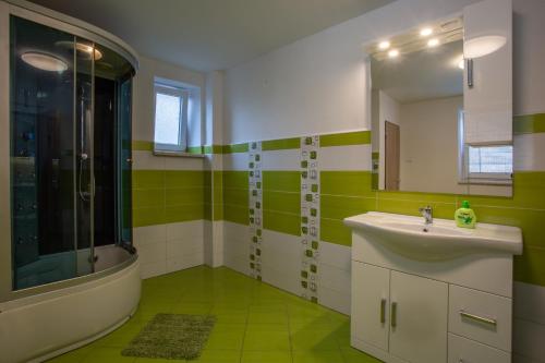 a green and white bathroom with a sink and a shower at U Moto Makovic in Horažďovice