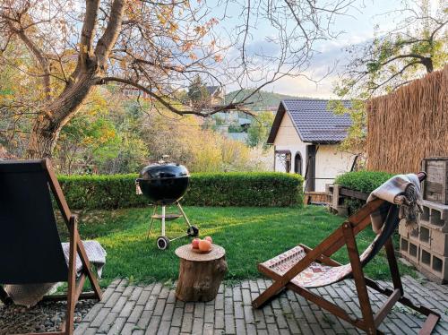a grill in a backyard with a chair and a grill at Alexa Mountain Homes in Kok-Shoky