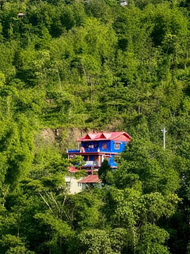a house in the middle of a hill with trees at Deumai Homestay in Ilām