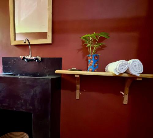 a shelf with towels and a plant on a wall at Karibu Burudika Lodge in Bagamoyo
