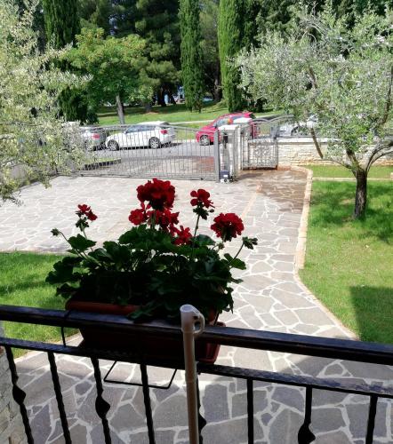Studio Apartments Pinia-Marina