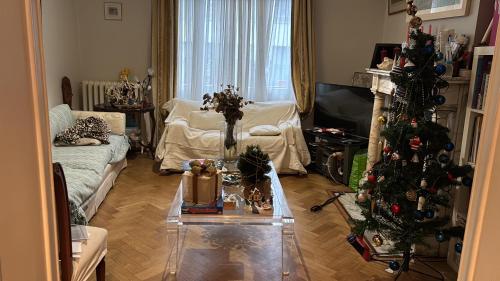 a living room with a christmas tree and a table at partie jasmin in Brussels