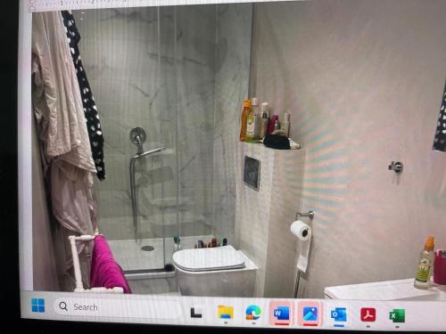 a small bathroom with a shower and a toilet at partie jasmin in Brussels