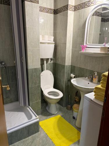 a bathroom with a toilet and a sink and a shower at Apartman Biljana in Rafailovici
