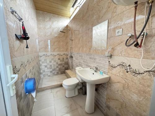 a bathroom with a sink and a toilet and a shower at Family Hotel in Batumi