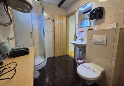 a small bathroom with a toilet and a sink at Sobe na vinskoj cesti Zmajevac in Zmajevac