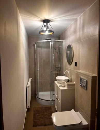 a bathroom with a shower and a toilet and a sink at Apartament Bydlino in Bydlino