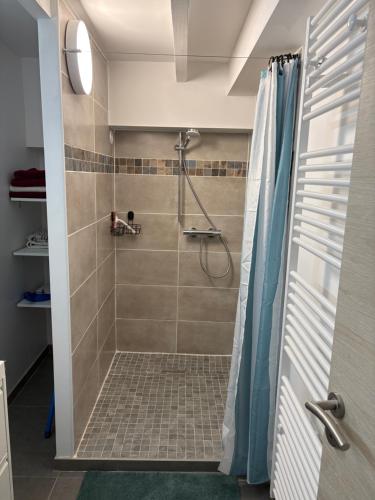 a bathroom with a shower with a blue shower curtain at La Fraternelle in Ceyzérieu